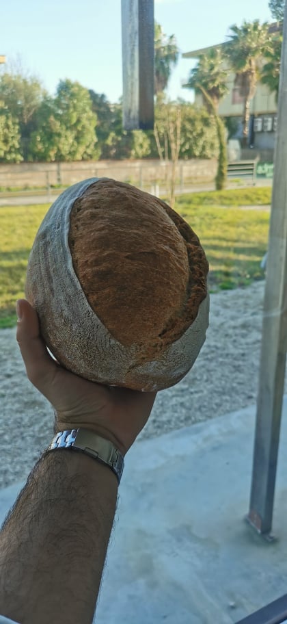 Pane Napoletano fatto in casa con lievito di birra